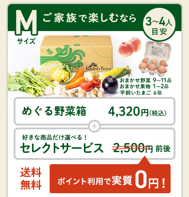 ＜1〜2人分＞まずはお手軽に旬の野菜を楽しむなら♪おためしセットと同じ野菜の品数　コース内容：［野菜BOX］旬の野菜7〜9品、旬の果物1~2品、平飼いたまご6個(通常規格〜ふぞろい含む)
