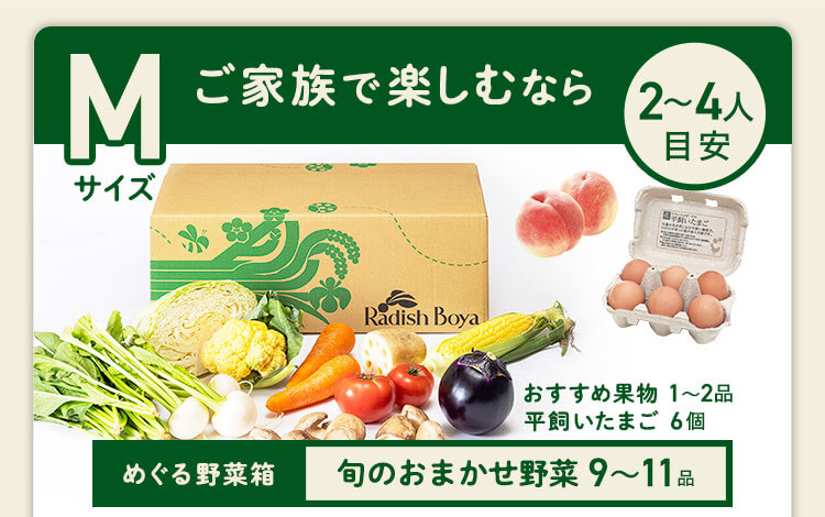 ＜2〜3人分＞ご家族で楽しむなら♪　コース内容：［野菜BOX］旬の野菜9〜11品、旬の果物1~2品、平飼いたまご6個(通常規格〜ふぞろい含む)［厳選食材］旬魚・肉・惣菜2〜4品 3,750(税込)前後
