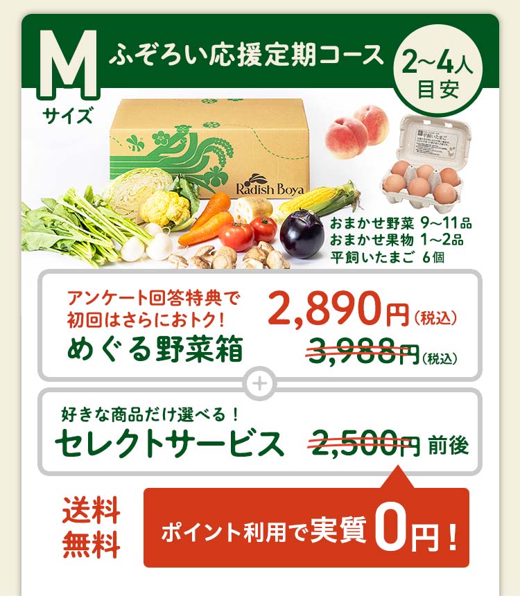 ＜1〜2人分＞まずはお手軽に旬の野菜を楽しむなら♪おためしセットと同じ野菜の品数　コース内容：［野菜BOX］旬の野菜7〜9品、旬の果物1~2品、平飼いたまご6個(通常規格〜ふぞろい含む)