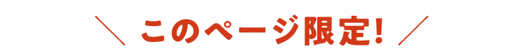 このページ限定