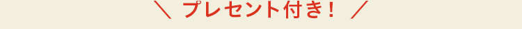 プレゼント付き