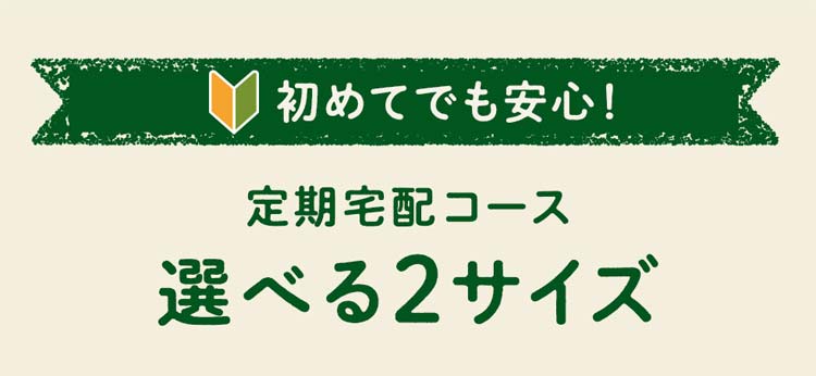 選べる２コース