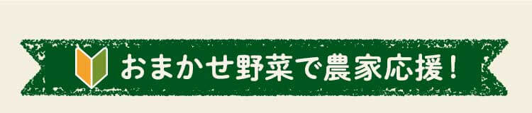 初めててでも安心！定期宅配コース
