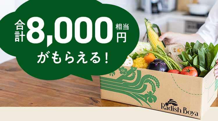 8000円相当がもらえる