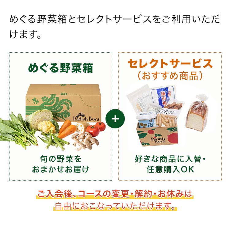 めぐる野菜箱の実際のお届け例