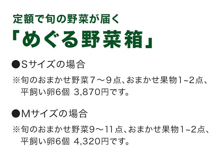 定額で旬の野菜が届くめぐる野菜箱