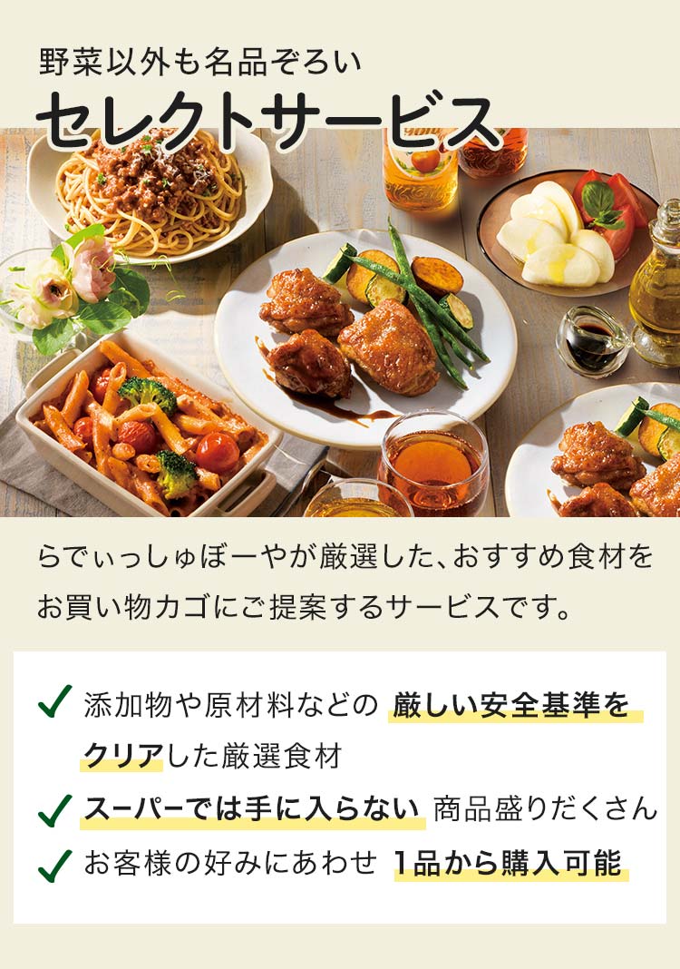 めぐる野菜箱の実際のお届け例