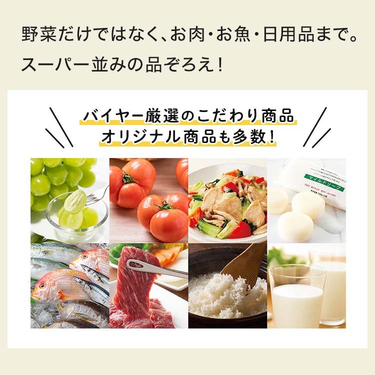 バイヤー厳選のおすすめ商品もたくさん