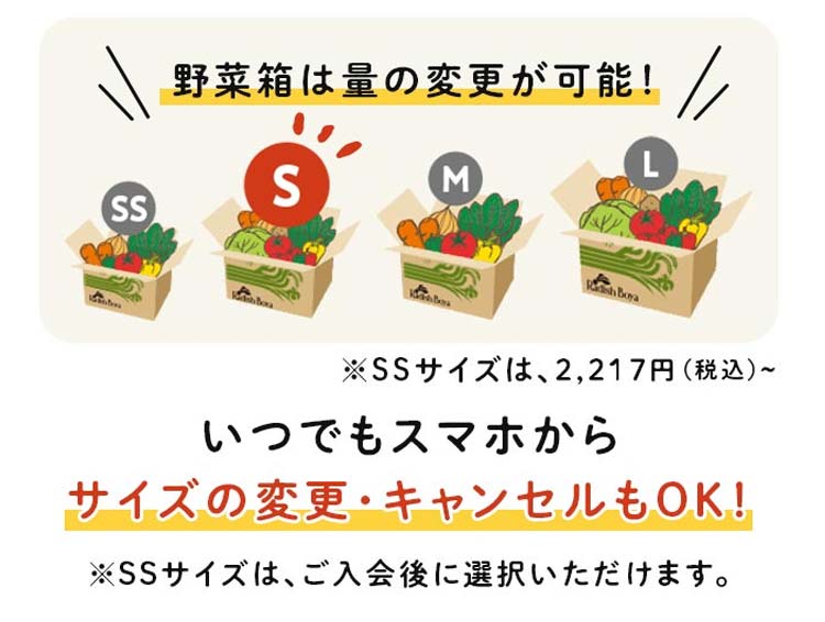 1回に届くサイズはSサイズでおためしセットと同等のサイズです。