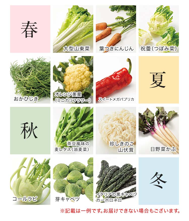 めぐる野菜箱は季節ごとにいろんな野菜をお届けします。