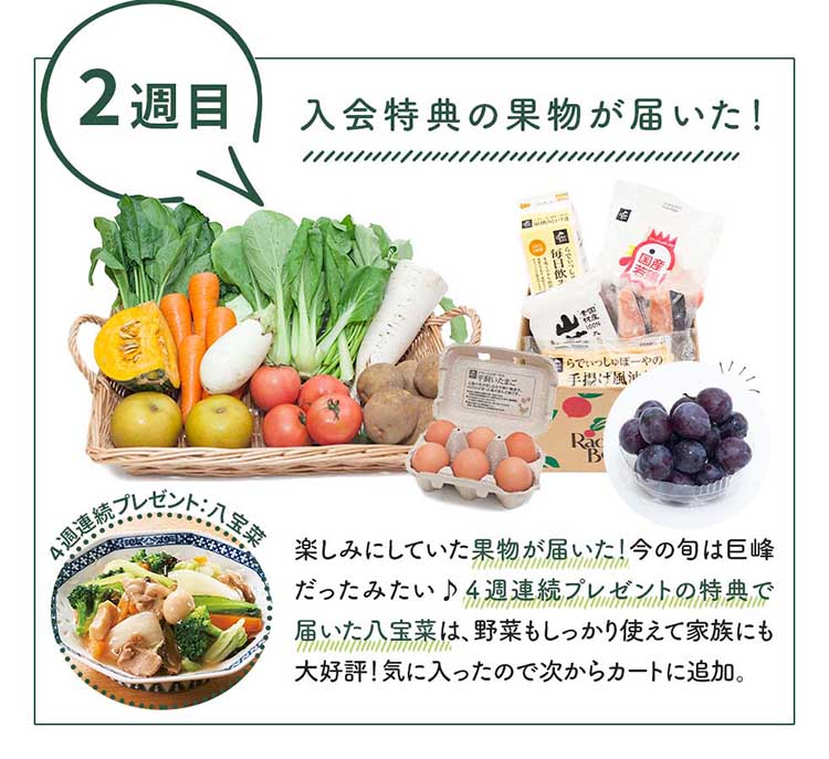 ２週目：入会特典の果物が届いた！楽しみにしていた果物が届いた！今の旬は巨峰だったみたい♪４週連続プレゼントの特典で届いた八宝菜は、野菜もしっかり使えて家族にも大好評！気に入ったので次からカートに追加。