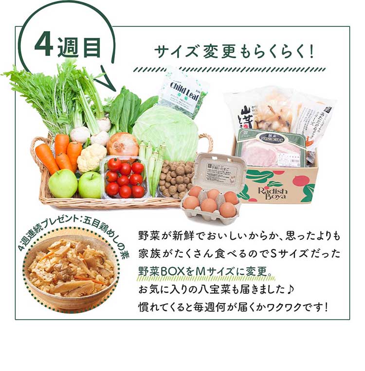 ４週目：サイズ変更もらくらく！野菜が新鮮でおいしいからか、思ったよりも家族がたくさん食べるのでSサイズだった野菜BOXをＭサイズに変更。お気に入りの八宝菜も届きました♪慣れてくると毎週何が届くかワクワクです！