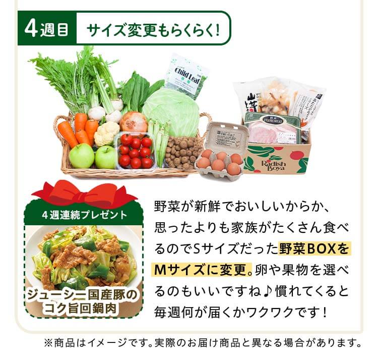 ４週目：野菜が新鮮でおいしいからか、思ったよりも家族がたくさん食べるのでSサイズだった野菜BOXをMサイズに変更。卵や果物を選べるのもいいですね♪慣れてくると毎週何が届くかワクワクです!