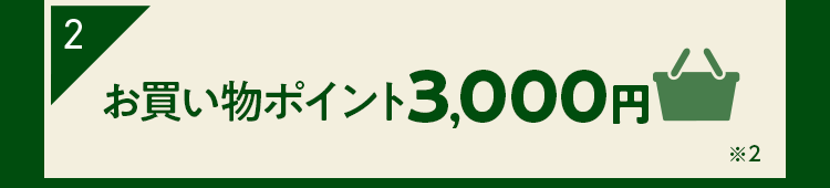 特典2 8週間送料無料
