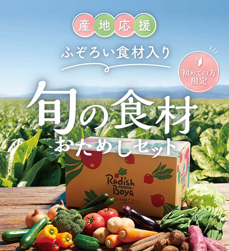 「おまかせ野菜ボックス おためしセット