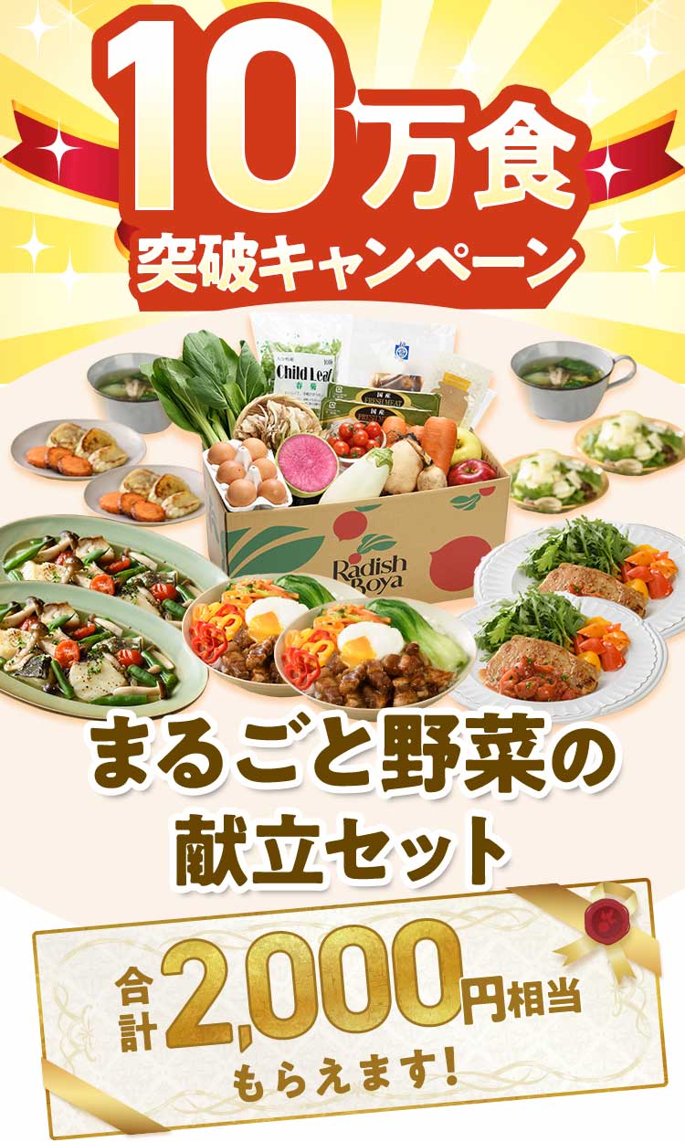 料理がもっとたのしくなるおやさい献立セット
