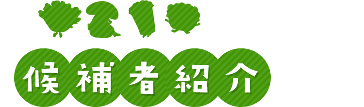 候補者紹介