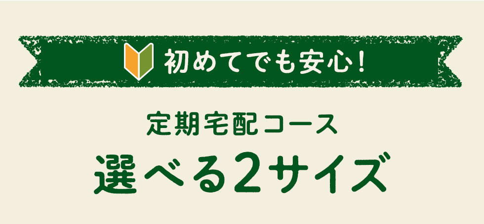 選べる２コース