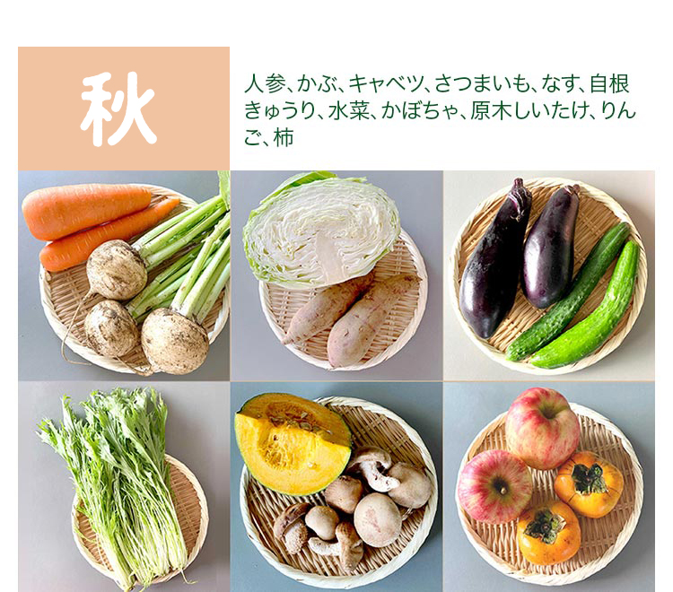 秋 Mサイズ　果物・卵6個付き