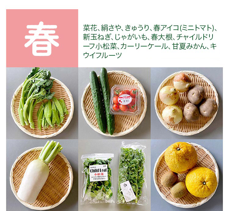 春　Mサイズ　果物・卵6個付き
