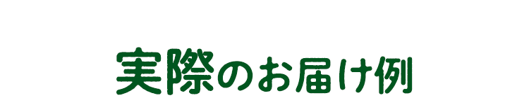 実際のお届け例