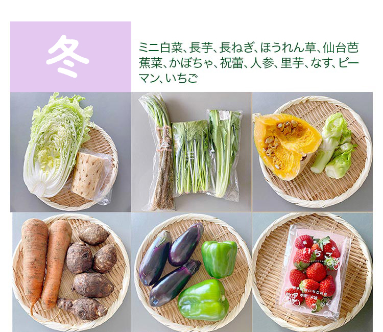 冬 Mサイズ　果物・卵6個付き