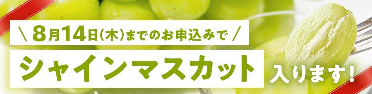 8月14日までのお申し込みで先着300名様シャインマスカット必ず入ります