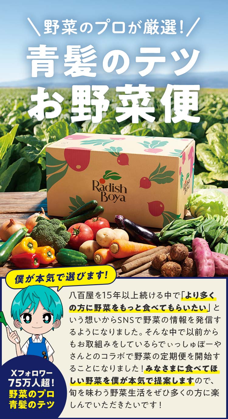 野菜のプロが厳選！青髪のテツ お野菜便