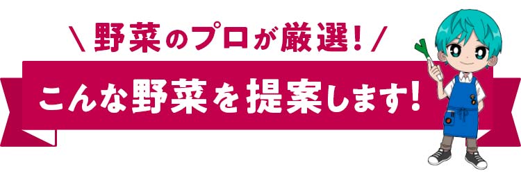 こんな野菜を提案します！