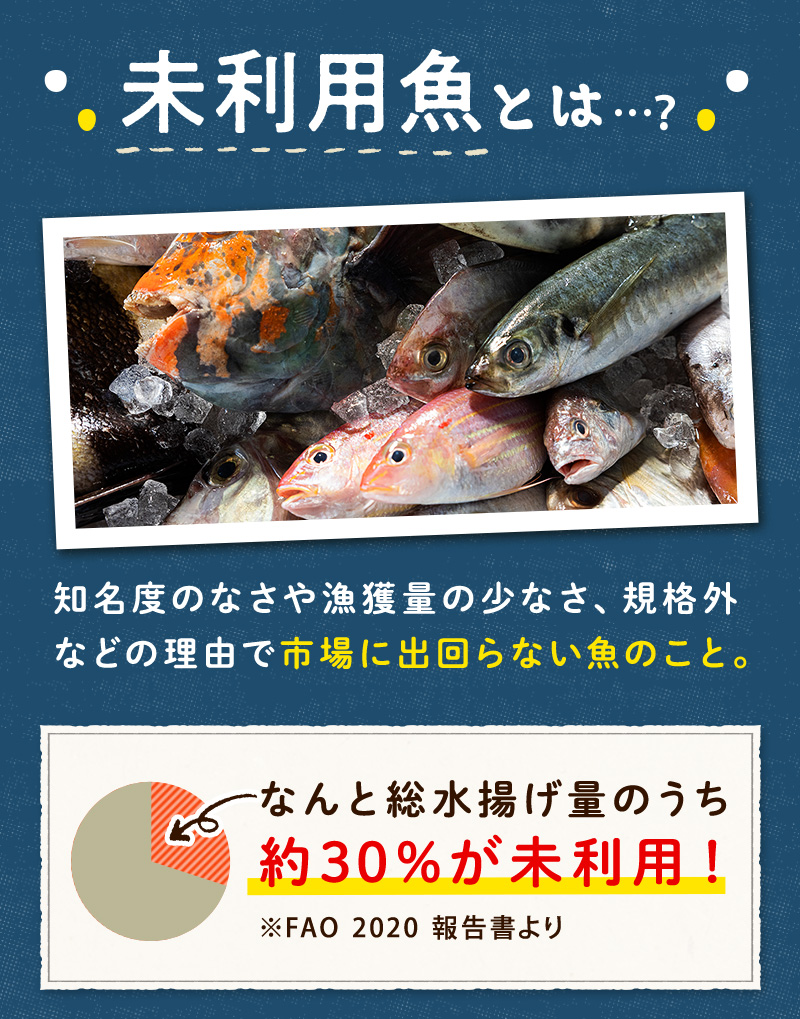 未利用魚とは・・知名度のなさや漁獲量の少なさ、規格外などの理由で市場に出回らない魚のこと。なんとそう水揚げ量のうち約30%が未利用！※FAQ2020報告書より