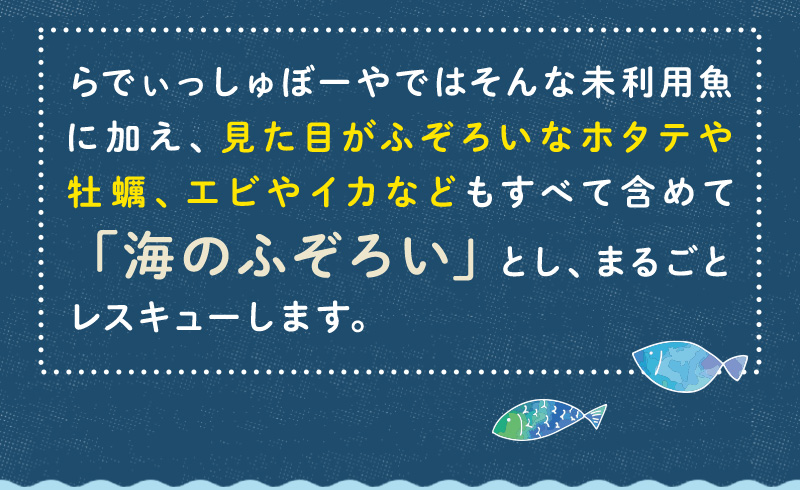 らでぃっしゅぼーやではそんな未利用魚に加え、見た目がふぞろいなホタテや牡蠣、エビやイカなどもすべて含めて「海のふぞろい」とし、まるごとレスキューします。