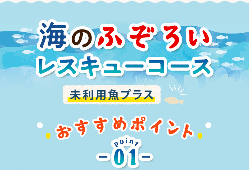 海のふぞろいレスキューコース 未利用魚プラス　おすすめポイント