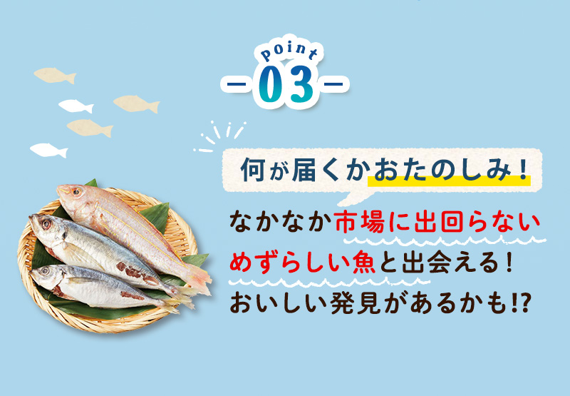 Point.3 何が届くかお楽しみ！なかなか市場に出回らないめずらしい魚と出会える！おいしい発見があるかも⁉