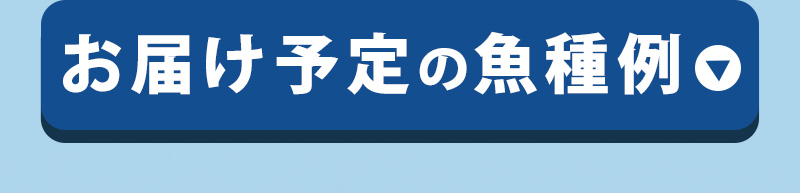 【お届け予定の魚種例】