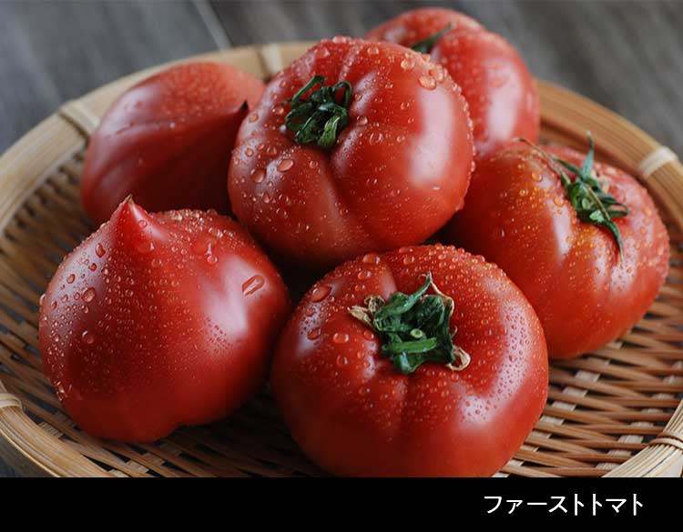 トマト