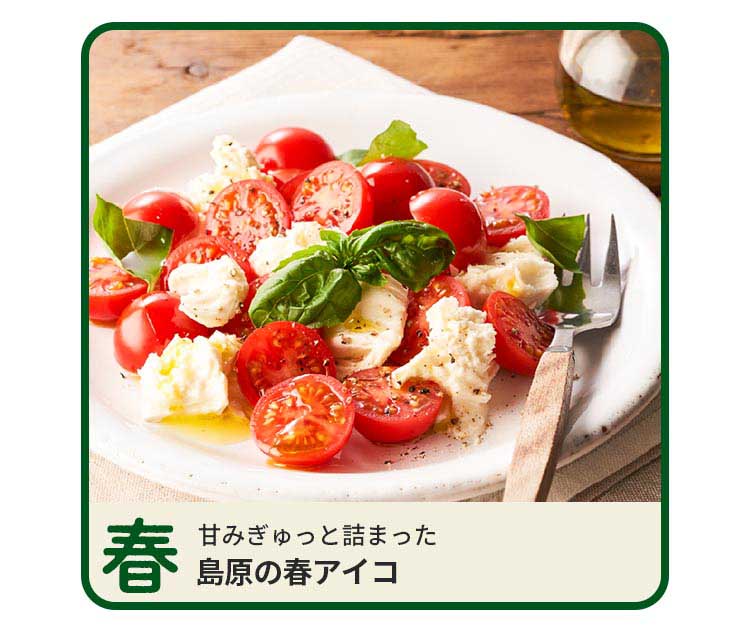 春 甘みのぎゅっと詰まった 島原の春アイコ