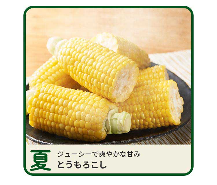 夏 ジューシーで爽やかな甘み とうもろこし