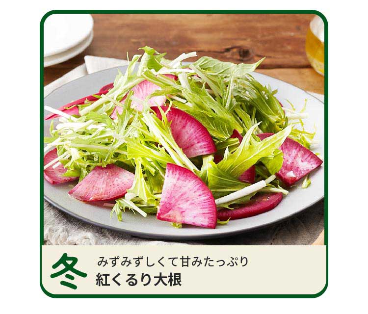 冬 みずみずしくて甘みたっぷり 紅くるり大根