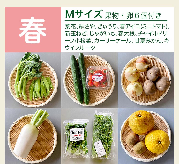 めぐる野菜箱の実際のお届け例