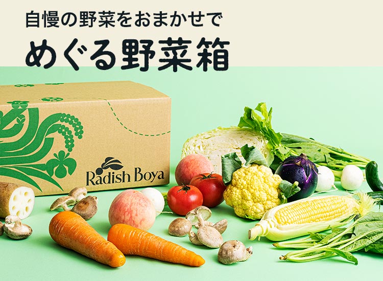 めぐる野菜箱の実際のお届け例