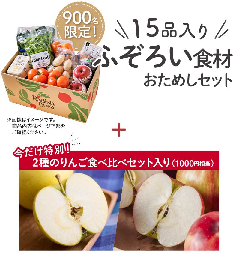 正規品販売！ 野菜セット やおパック １回便 10種類と卵 送料無料