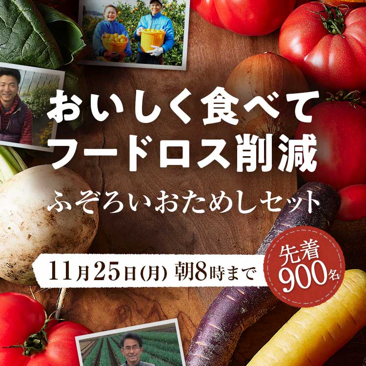 やっち様専用 やっち様専用ページです 温う