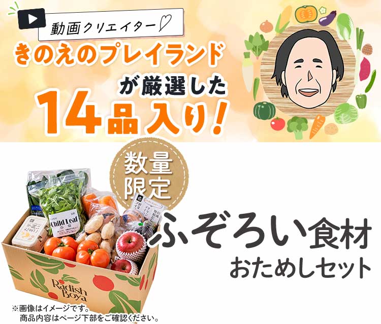 送料無料 数量限定 ふぞろい食材おためしセット