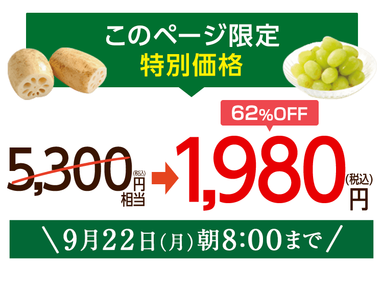 1,980円（税込）　期間限定9/22(月)8:00まで