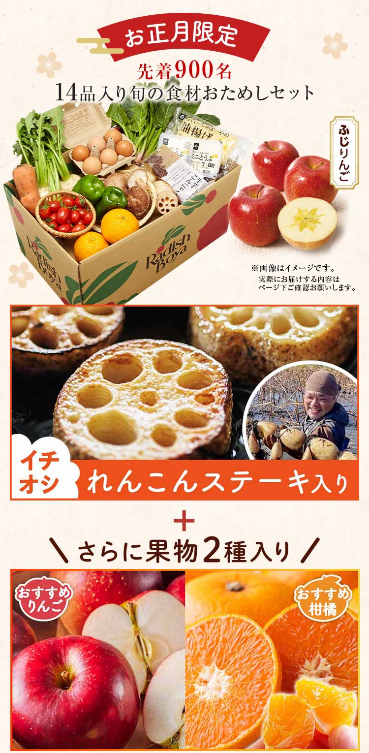 送料無料 数量限定 ふぞろい食材おためしセット