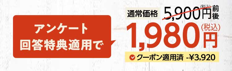 送料無料 数量限定 ふぞろい食材おためしセット