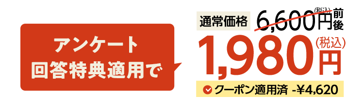 送料無料 数量限定 ふぞろい食材おためしセット