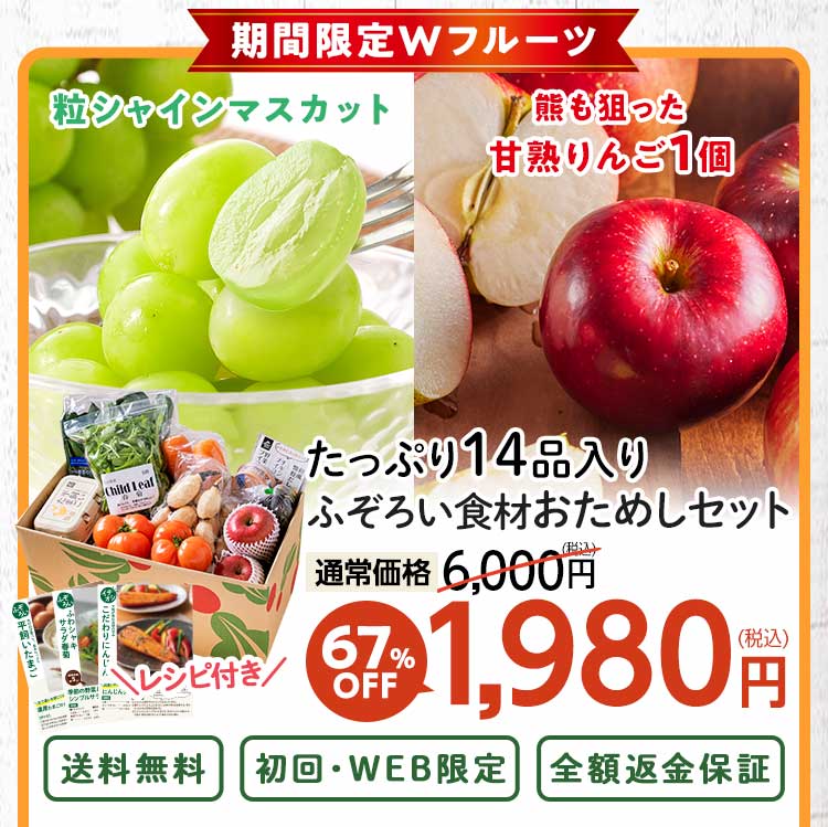 送料無料 数量限定 ふぞろい食材おためしセット