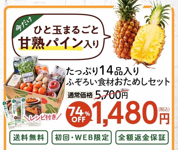 送料無料 数量限定 ふぞろい食材おためしセット