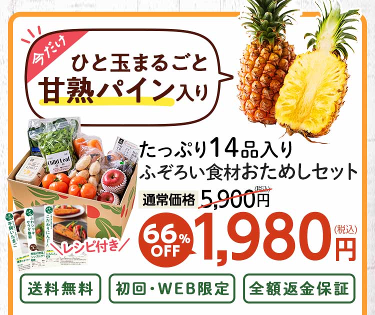 送料無料 数量限定 ふぞろい食材おためしセット